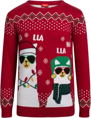Boys' Sweater - Cozy Crewneck Pullover Santa Elf Reindeer Ugly Christmas Sweaters for Boys (Sizes: 8-16)