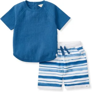 Burt's Bees Baby Baby Boys Short Sleeve Shirt and Pant Set, Top & Bottom Outfit, 100% Organic Cotton