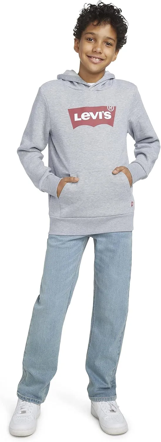 Levi's Boys' Graphic Pullover