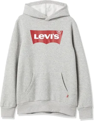 Levi's Boys' Graphic Pullover